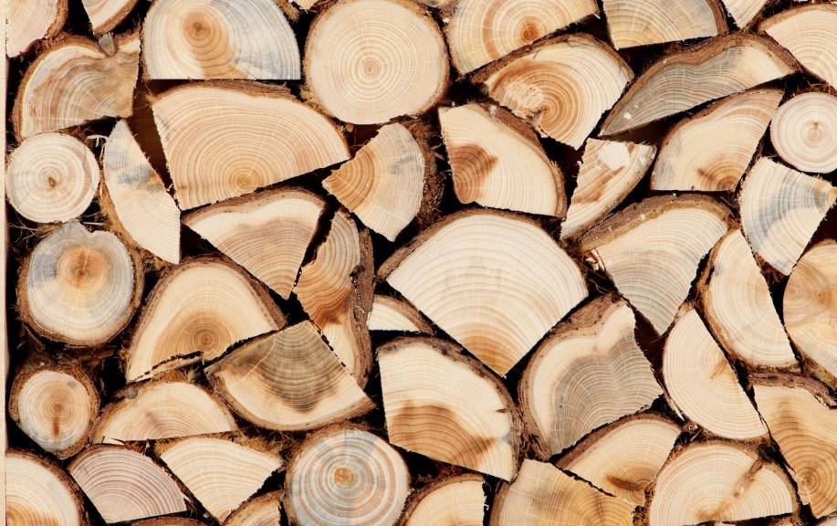 ❗️Совмин определил юрлиц, которые могут покупать дрова вне биржевых торгов