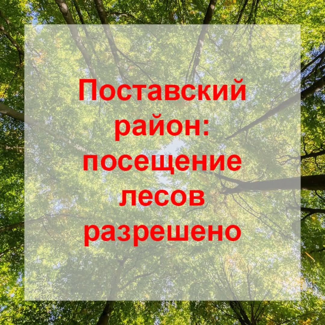 Поставский район: посещение лесов разрешено